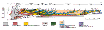 cross section