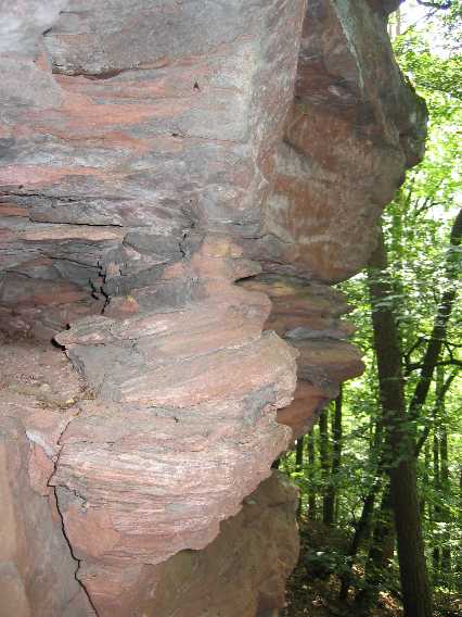 Felsenpfad Südpfalz