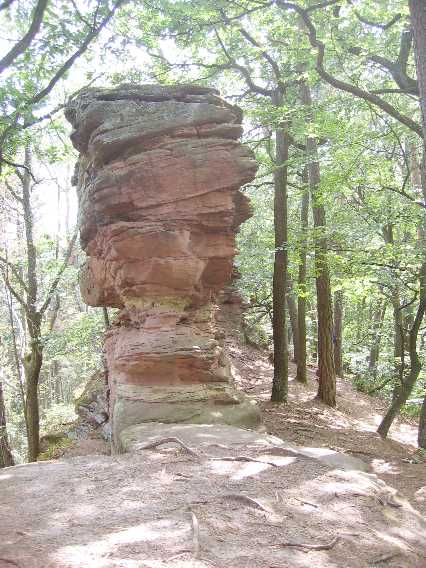 Felsenpfad Südpfalz